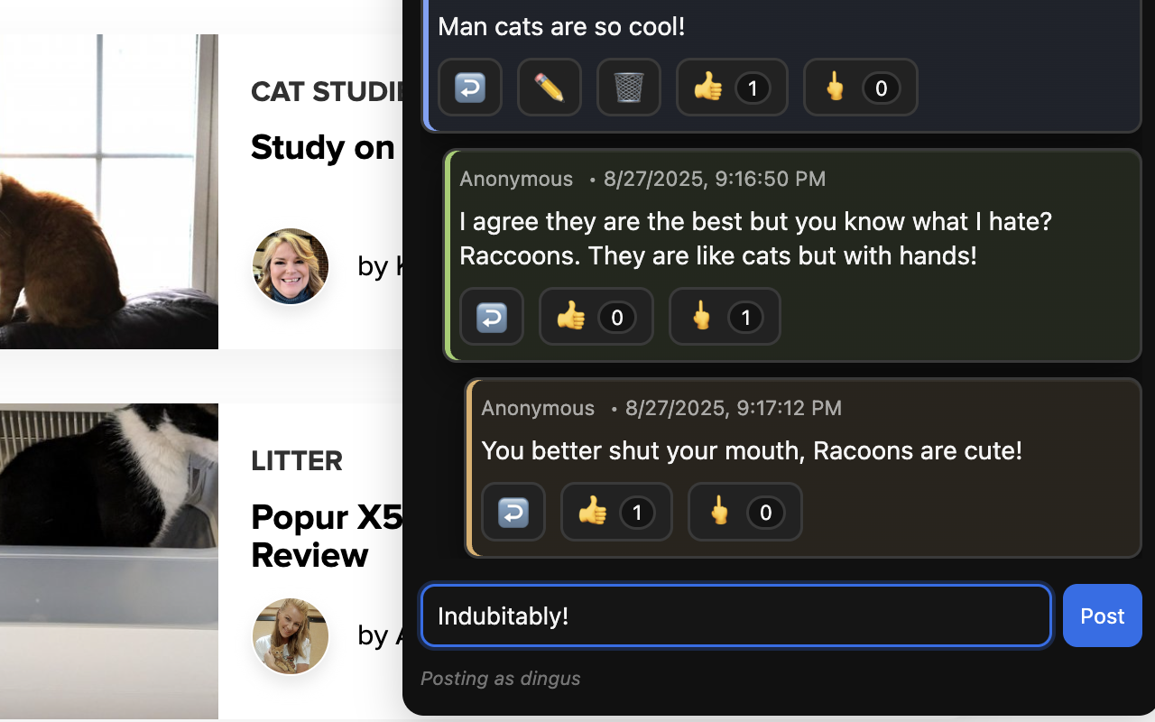 CommentAnywhere extension screenshot